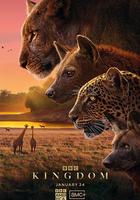 動物王國 線上看