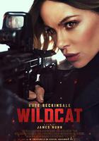 限時營救 / Wildcat 線上看