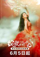 綻放的許開心 線上看