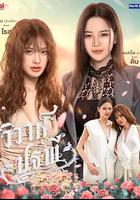 四大元素之大地情緣 / วิวาห์ปฐพี 線上看