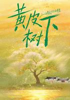 黃皮樹下 線上看