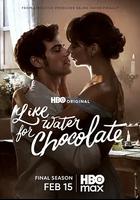 巧克力情人 第二季 / Como agua para chocolate Season 2 線上看