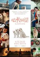 心犬相隨 / โกฮัง..หัวใจโกโฮม 線上看