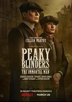 浴血黑幫：不朽傳奇 / The Immortal Man 線上看