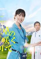 在勿忘草盛開的城鎮 ～安曇野診療記～ / 勿忘草の咲く町で ~安曇野診療記~ 線上看