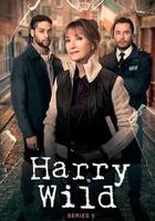 野探哈莉 第五季 / Harry Wild Season 5 線上看