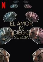 愛情盲選：瑞典篇 第3季 線上看