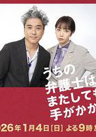 我家的律師又惹麻煩了 線上看